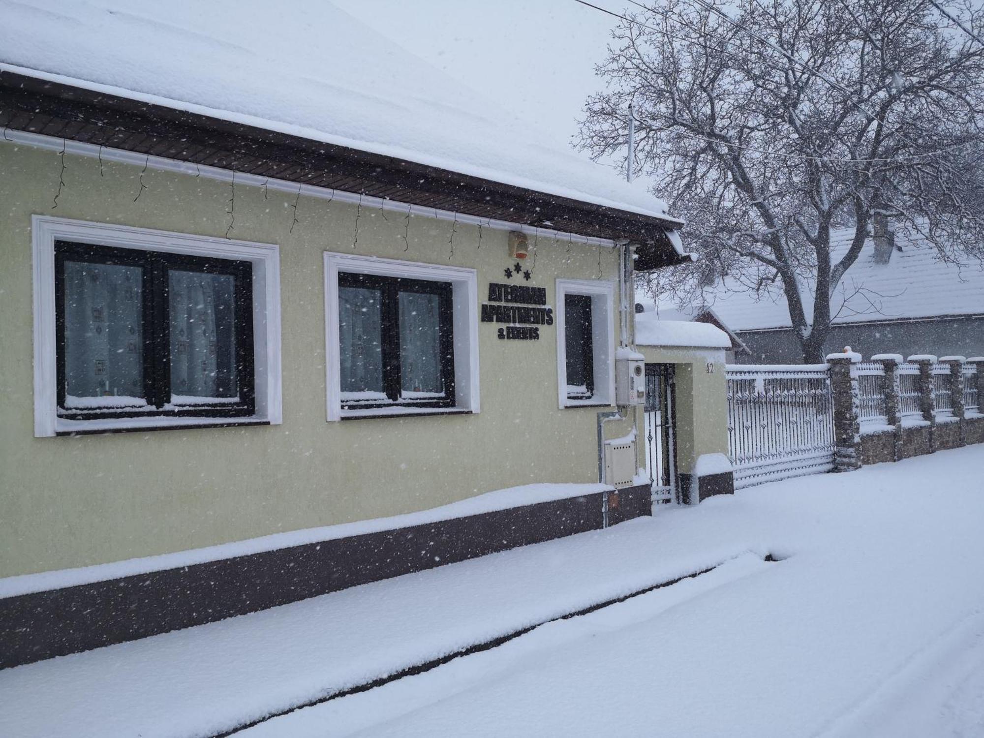 Aterman Apartment'S Ósinka Kültér fotó